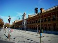 DSC08507 - Copy